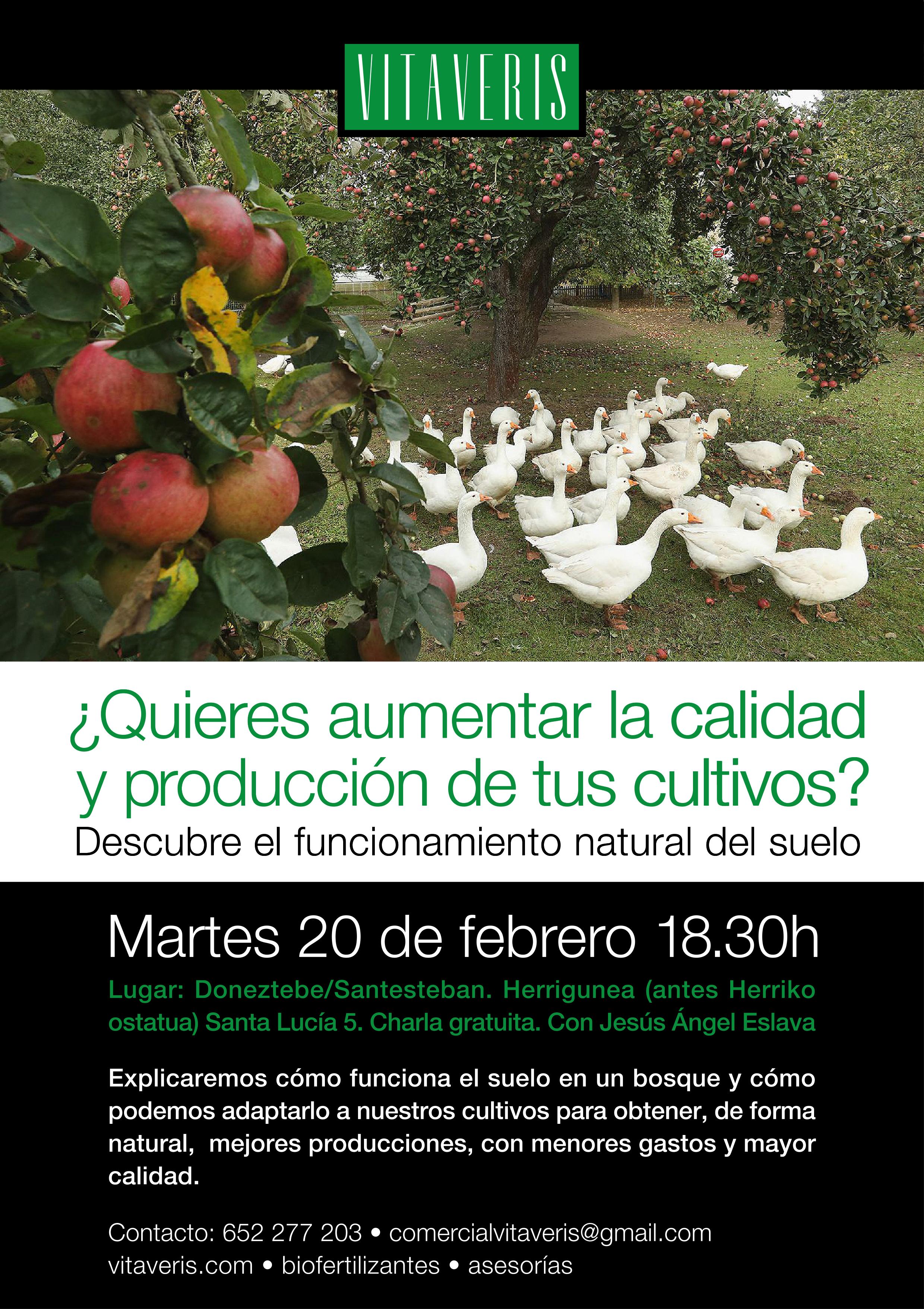 Foto evento